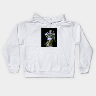 ephemeral Kids Hoodie